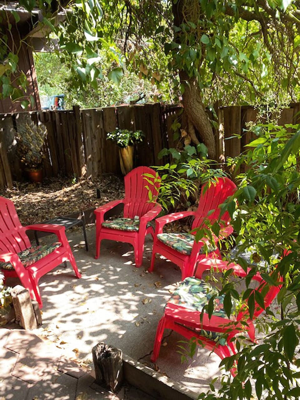 The shady front patio
