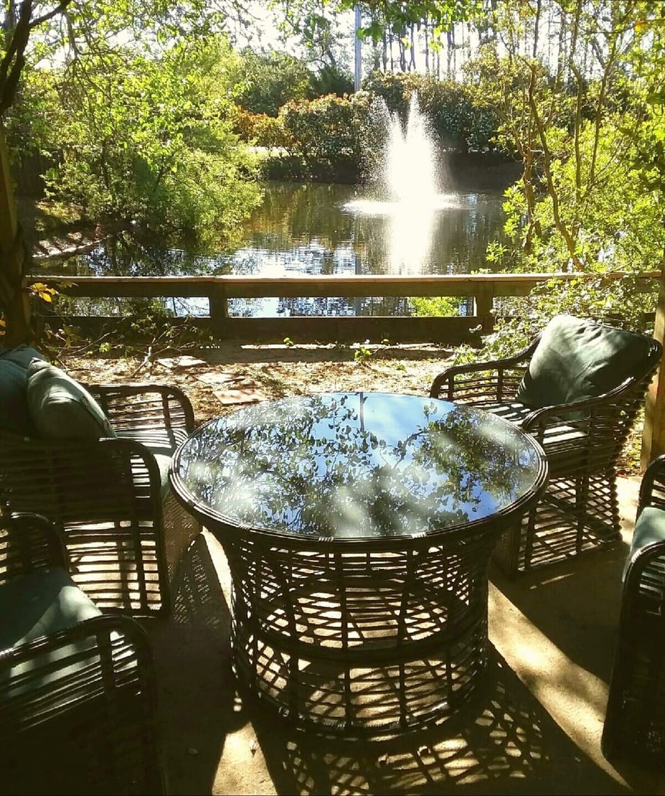 Pond and fountain view from the living room  and patio.