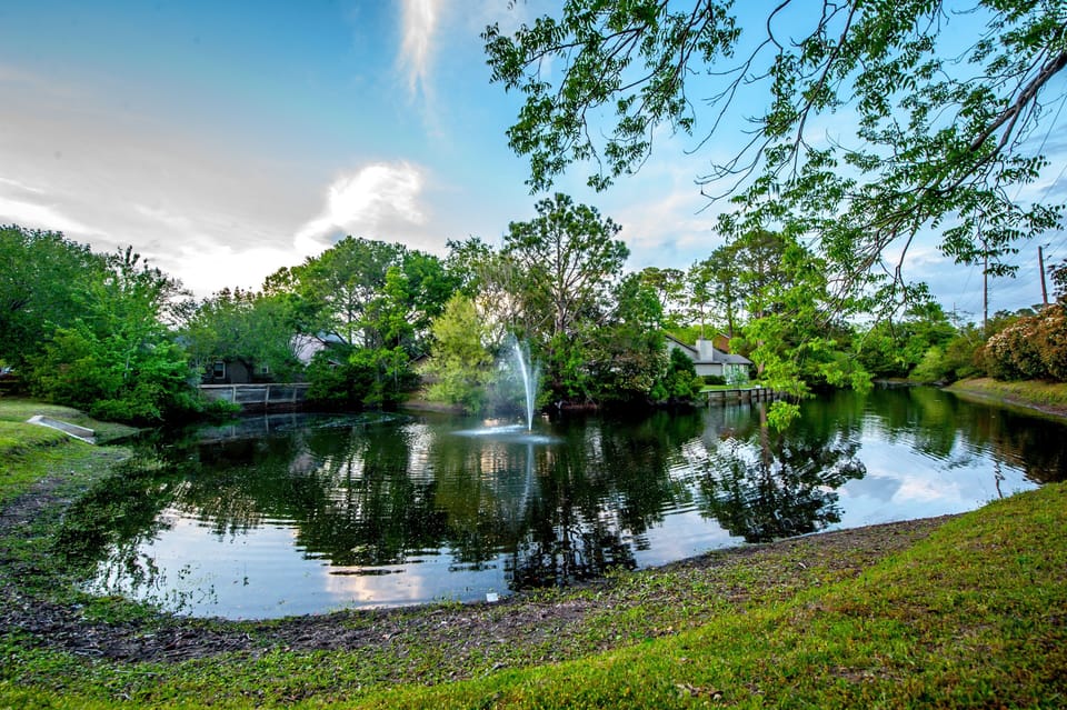 This tranquil pond faces our patio. It's stocked with fish, ducks and turtles.