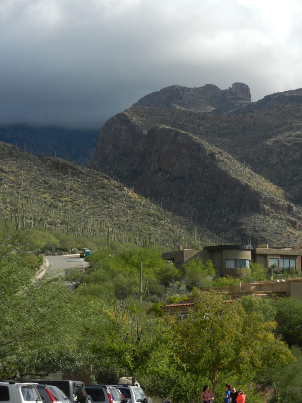 Pima Canyon hike, Thanksgiving, 2015.  Short drive from the studio.