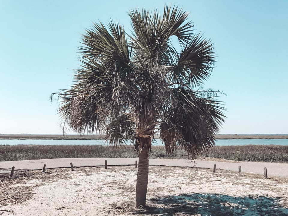 Hunting Island beach 