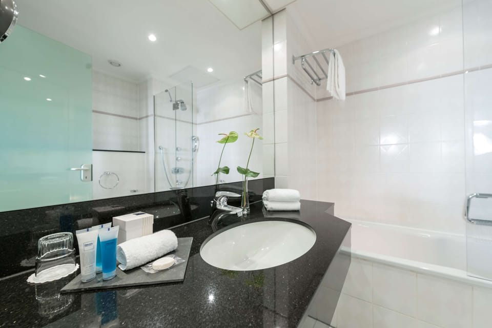 Combined shower/tub, free toiletries, hair dryer, bidet
