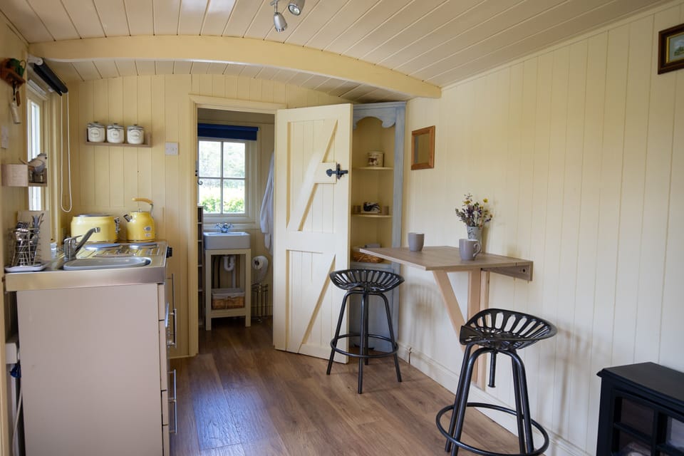 Shepherd's Hut | Private kitchen | Mini-fridge, electric kettle