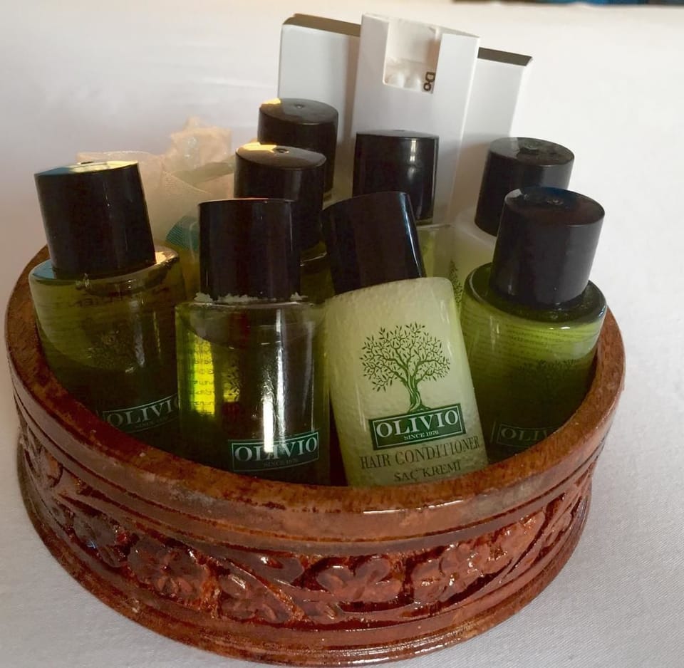Shower, free toiletries, hair dryer, slippers