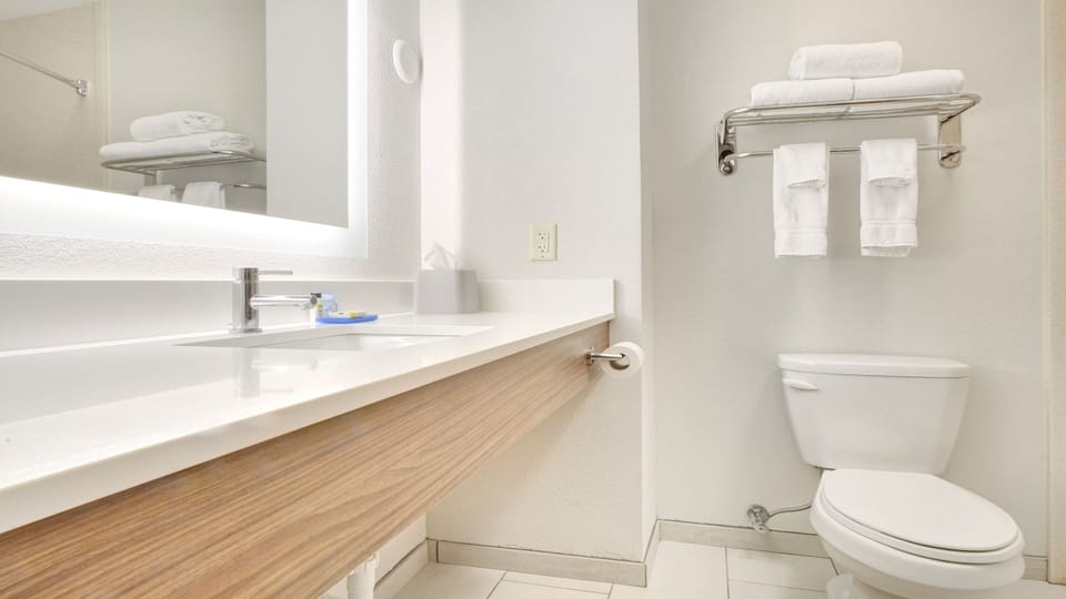 Suite, 1 King Bed | Room amenity