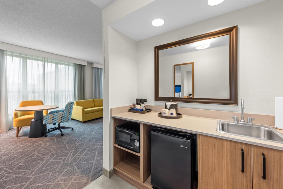 Studio, 1 King Bed with Sofa bed, Non Smoking | Minibar