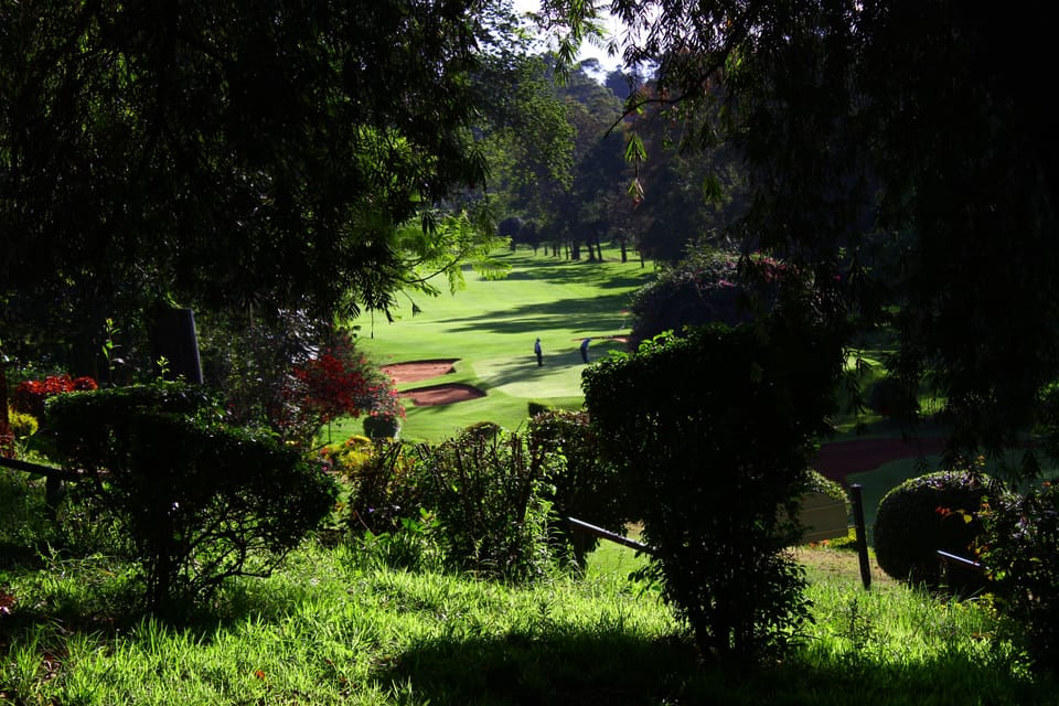 Golf