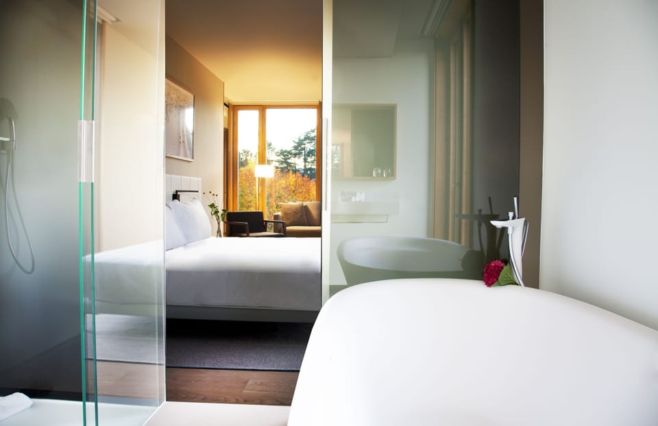 Deluxe Suite | Bathroom | Shower, free toiletries, hair dryer, bidet