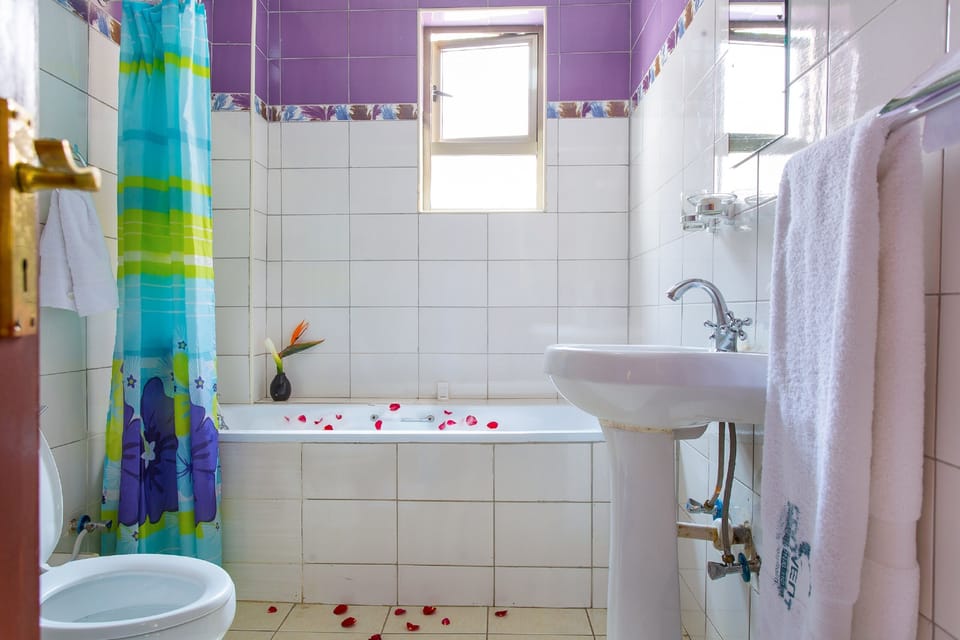 Deluxe Double Room | Bathroom | Rainfall showerhead, free toiletries, hair dryer (on request), slippers