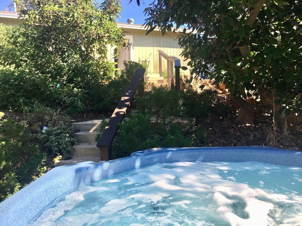 Front entry hidden in the avocado and lemon trees.
