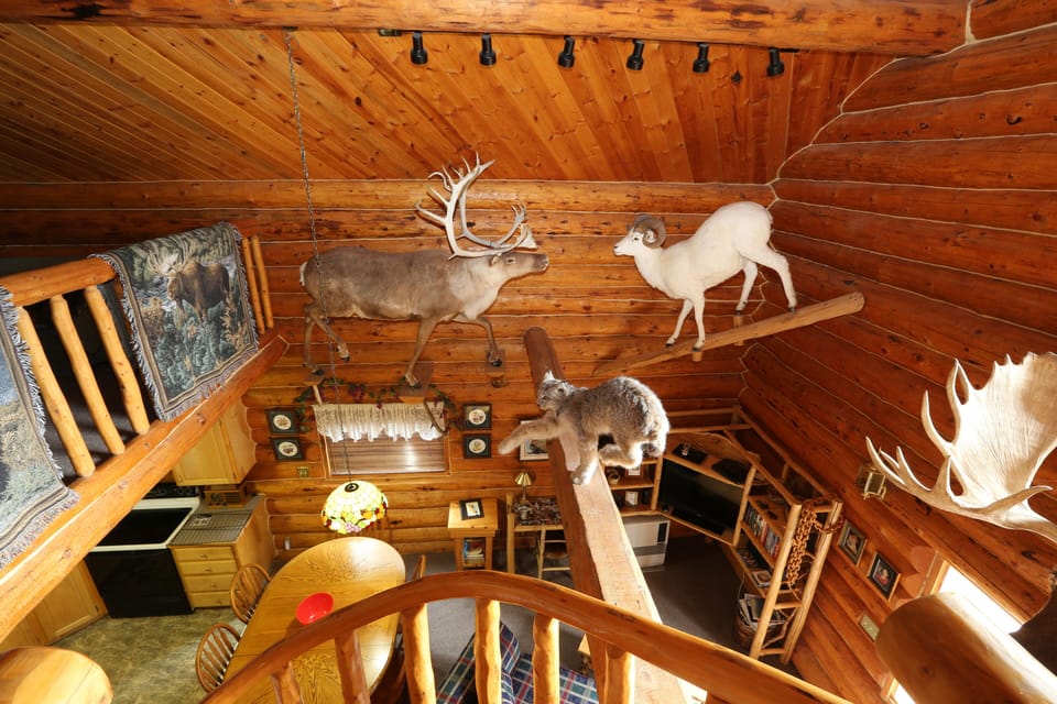 View from Loft