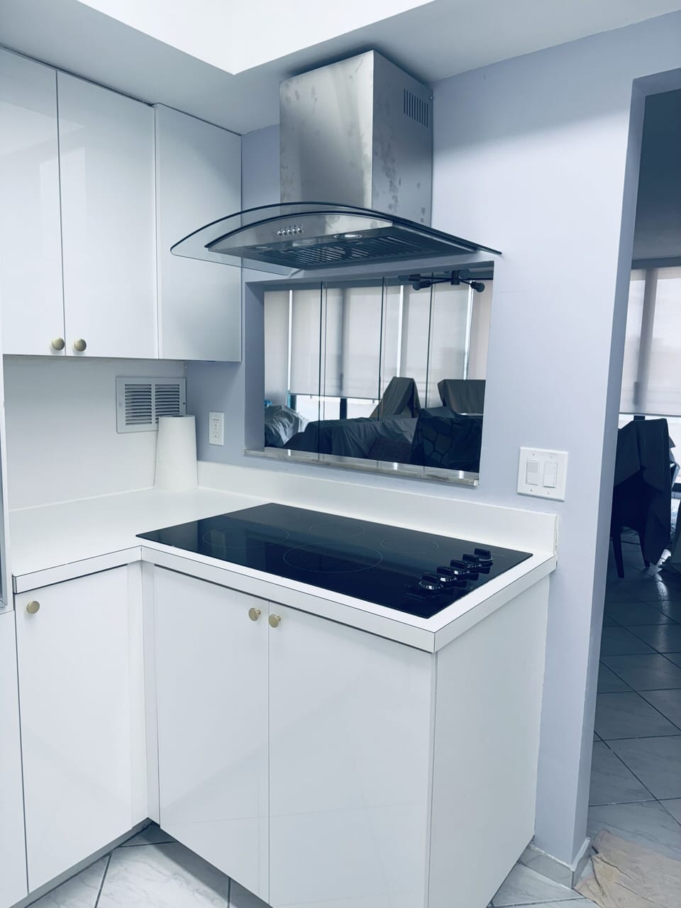 electric cooktop with hood  