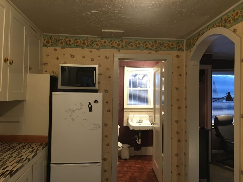 Microwave and refrigerator