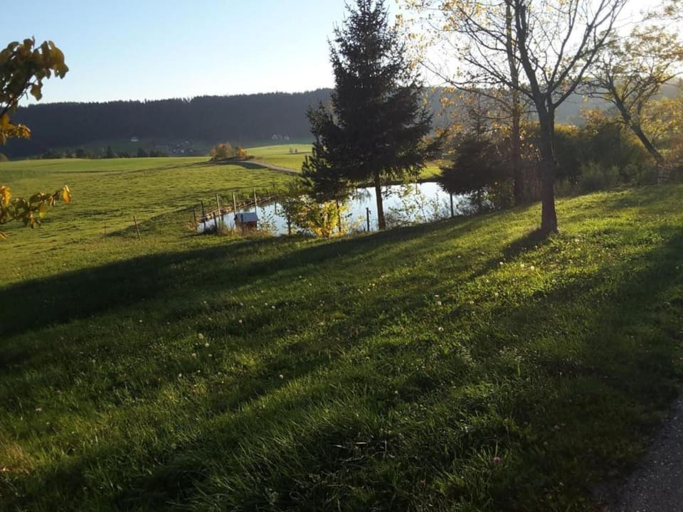 Region [summer] (>5 km)
