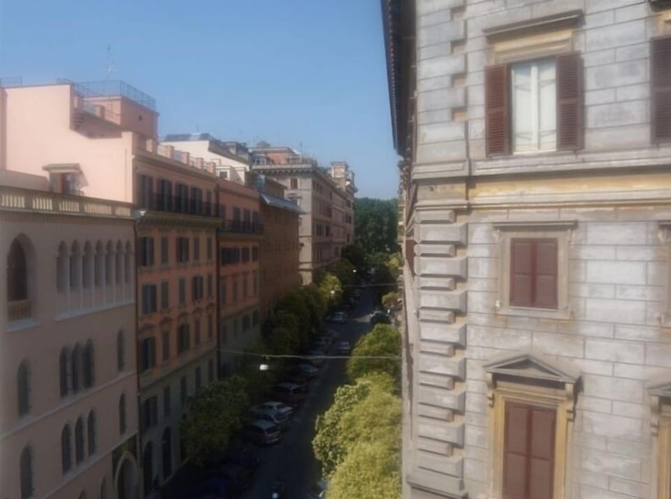 View of the street