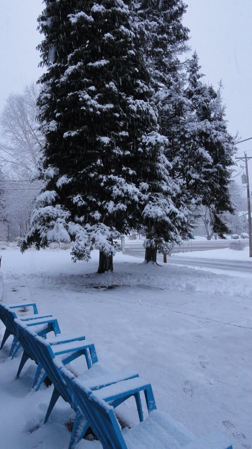Winter wonderland scene