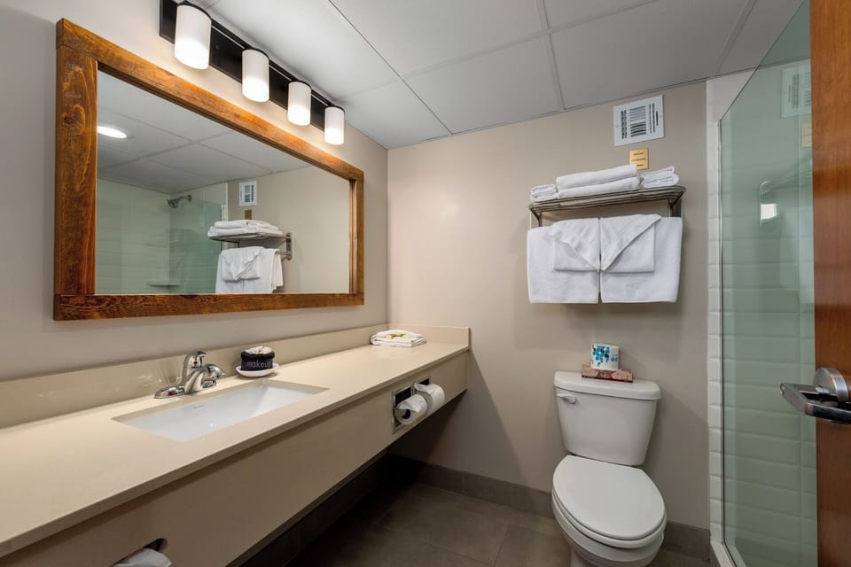 Free toiletries, hair dryer, towels