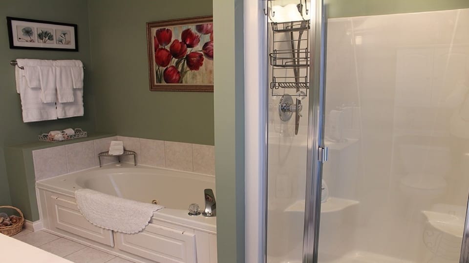 Master Bath with jetted tub & full shower 
