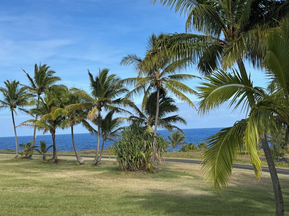 Kalapana Seaview Park near cottage.