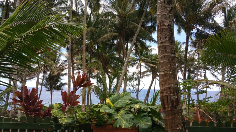 Ocean view from cottage