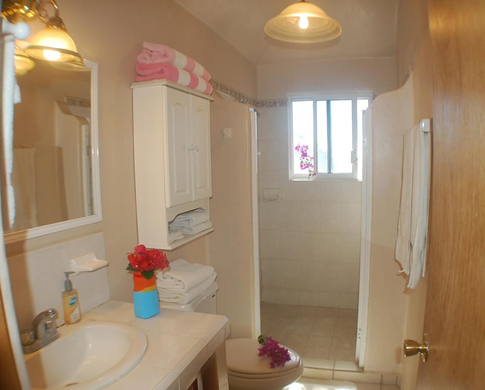 The bathroom is clean and beautifully tiled!