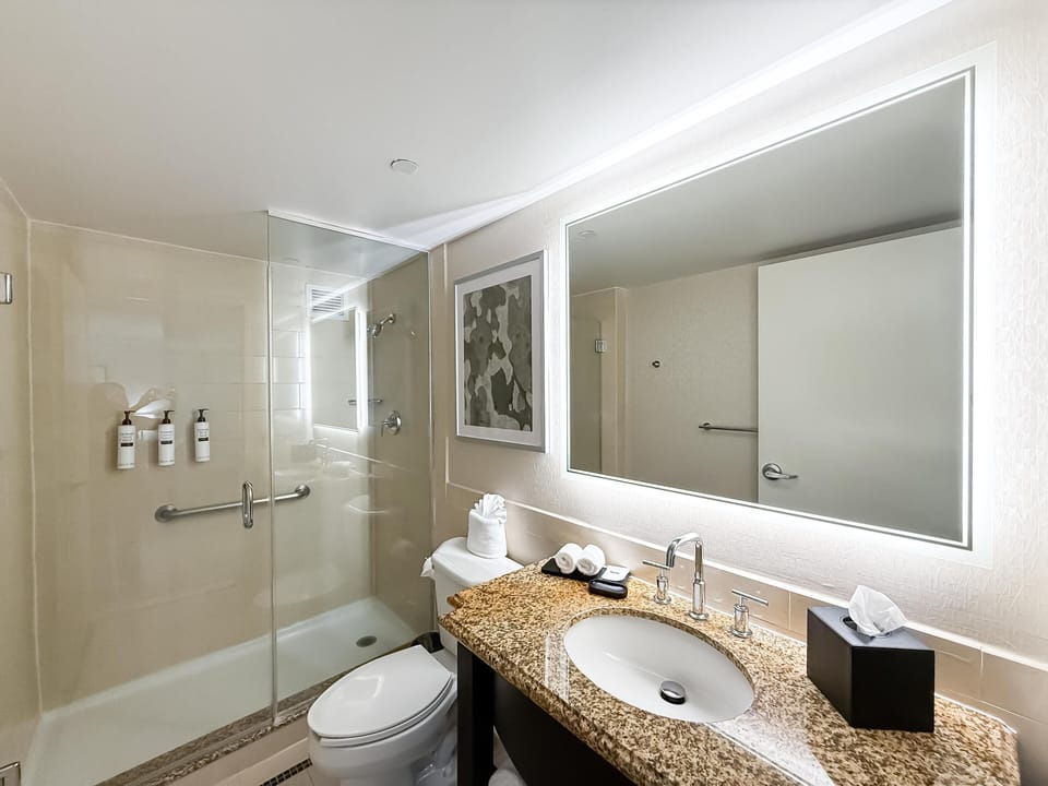 Combined shower/tub, free toiletries, hair dryer, towels