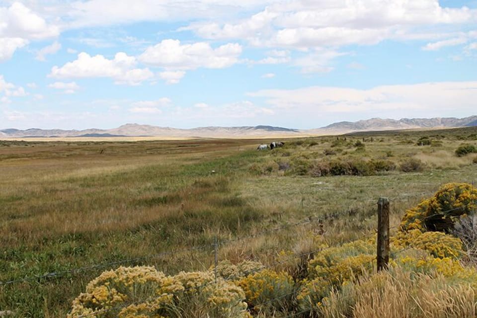 View from property