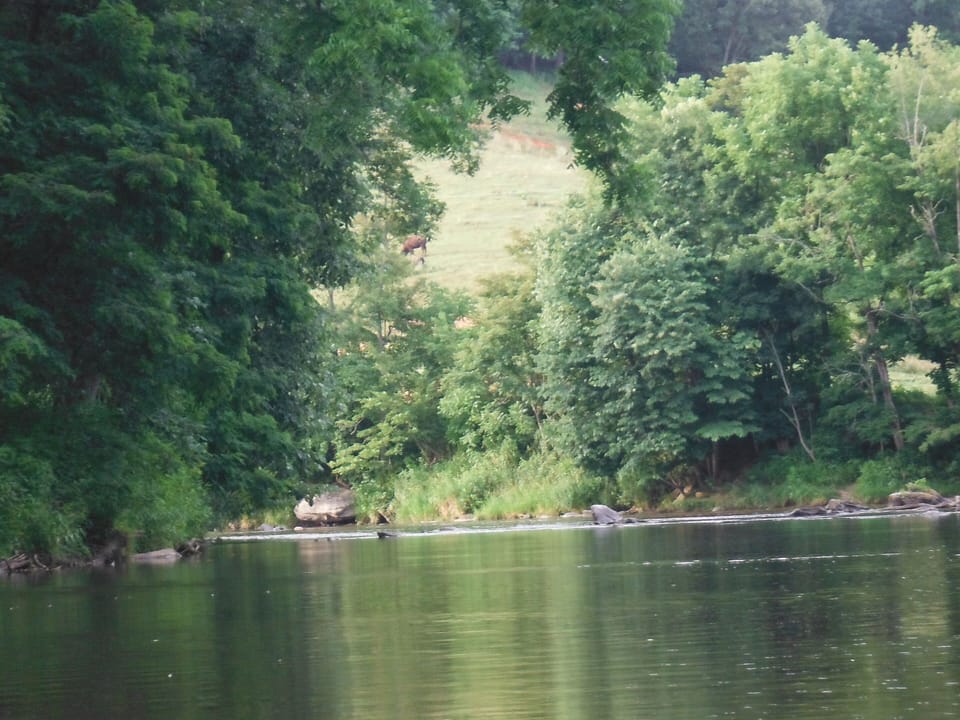 Pigeon River, great for fishing or rafting..runs right in front of property.