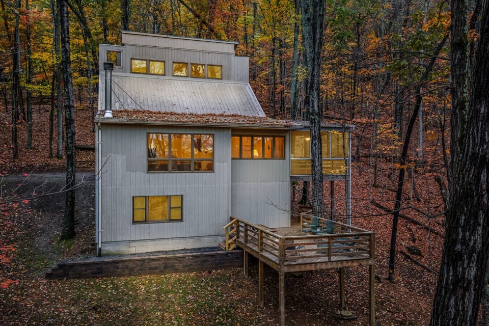 Welcome to Black Forest!