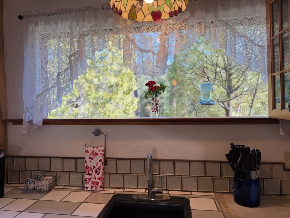 View hummingbirds from kitchen window