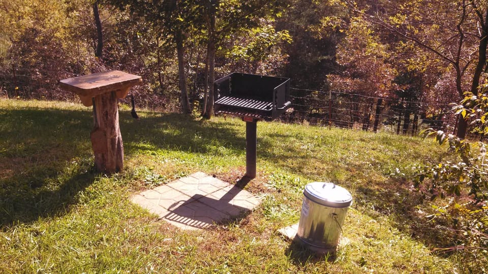 At the end of the day fire up the coals & cook some bison strip steaks!  