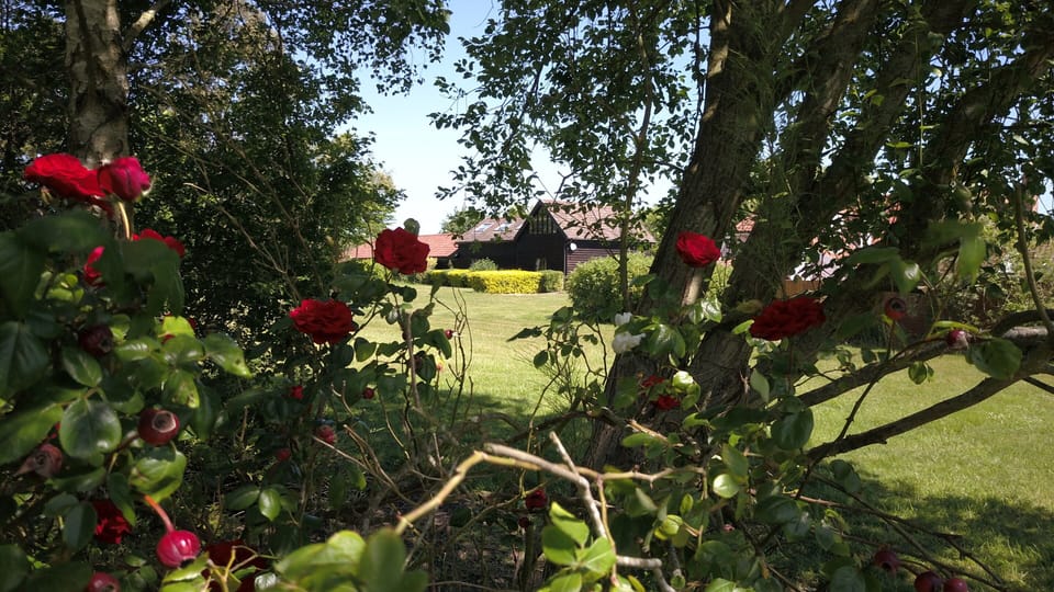 Rear view of the property 