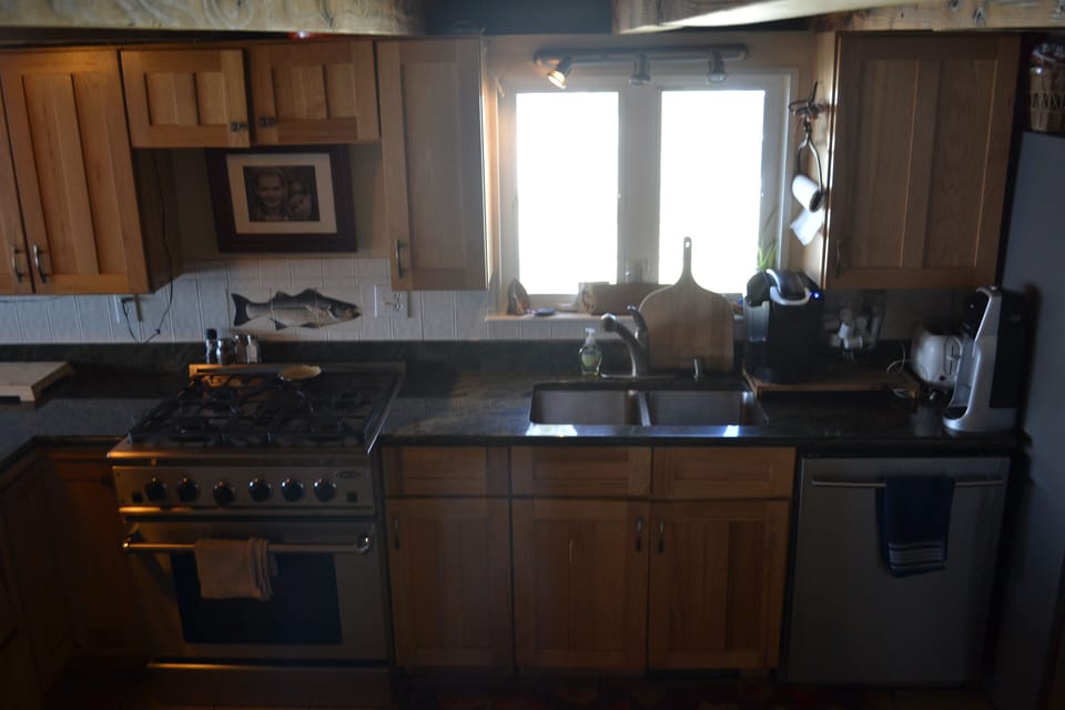 Gas professional cooking stove and conventional oven, dishwasher