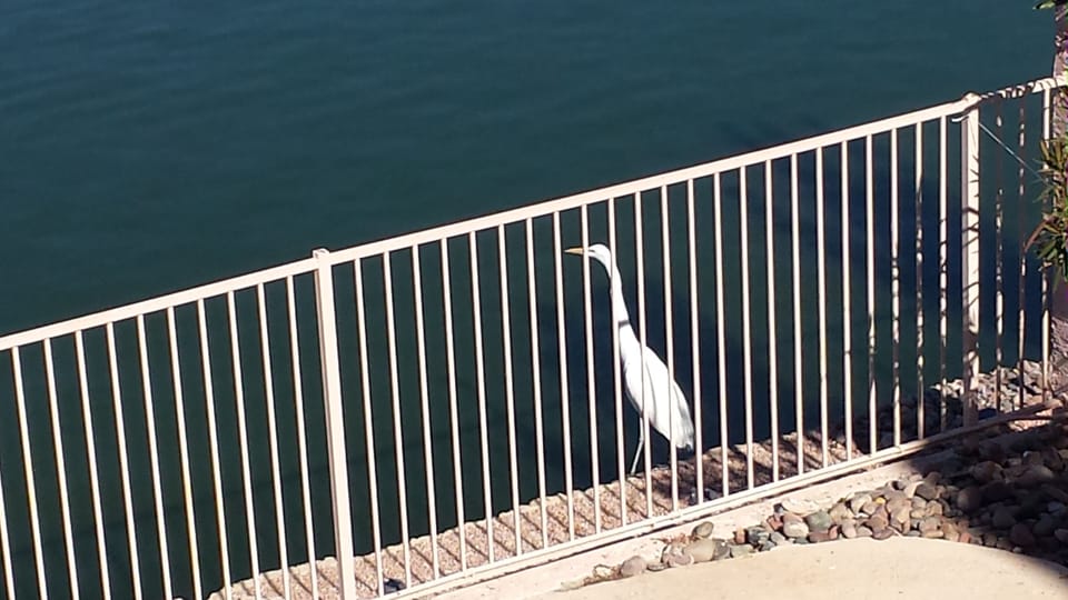 EGRET