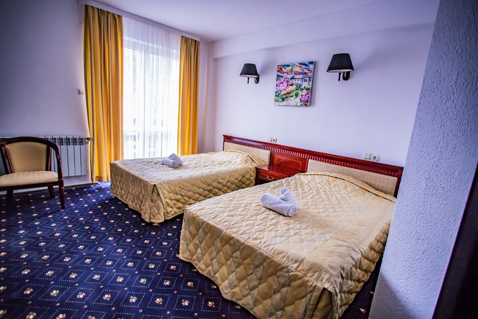Twin Room (Caters to guests age 55 and up) | Desk, free WiFi