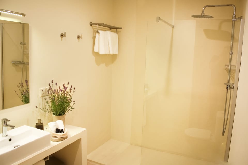 Shower, free toiletries, hair dryer, towels