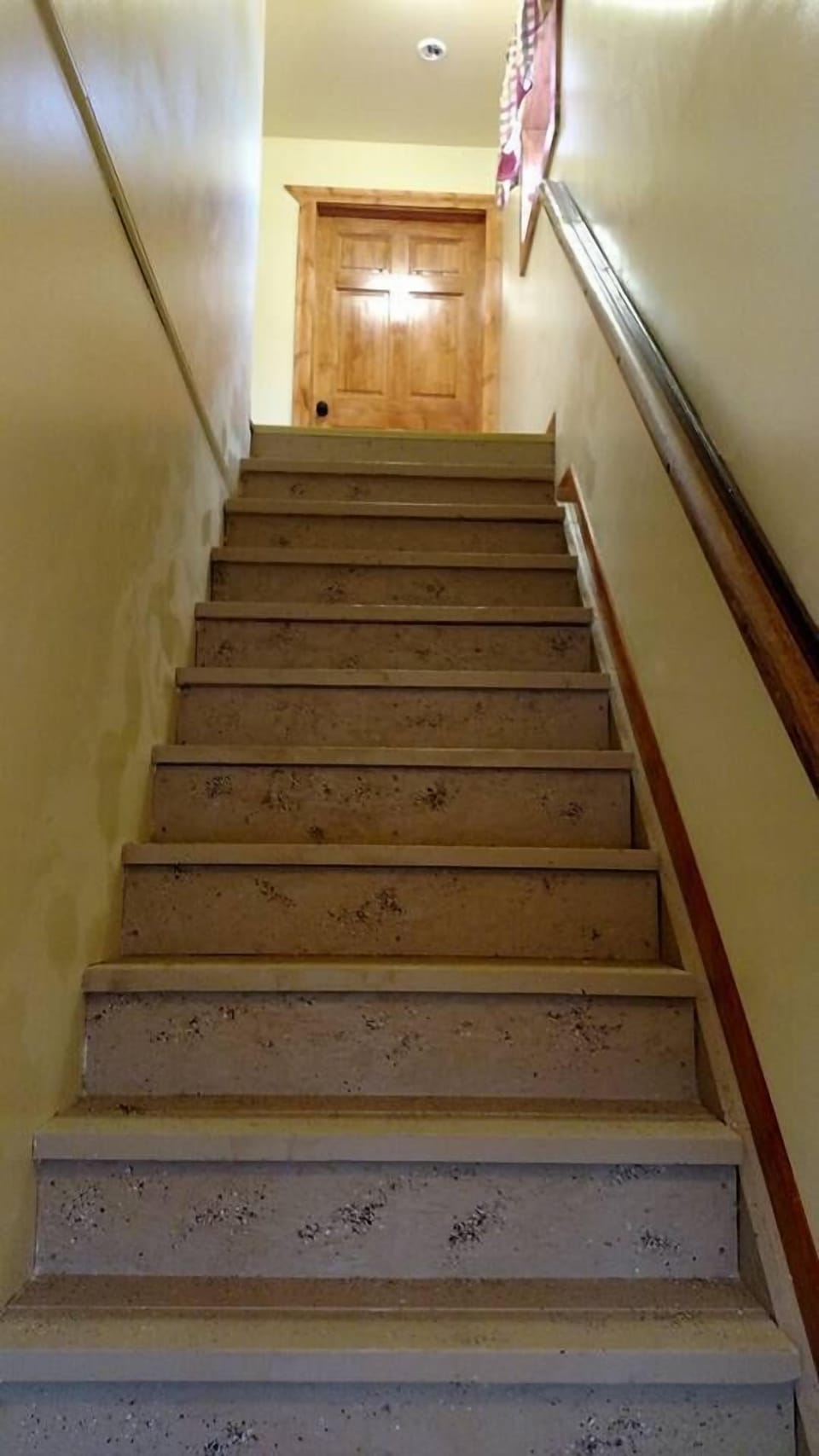 Suite, 3 Bedrooms, 2 Bathrooms (Suite 5, Second Floor) | 1 bedroom, desk, iron/ironing board, free WiFi