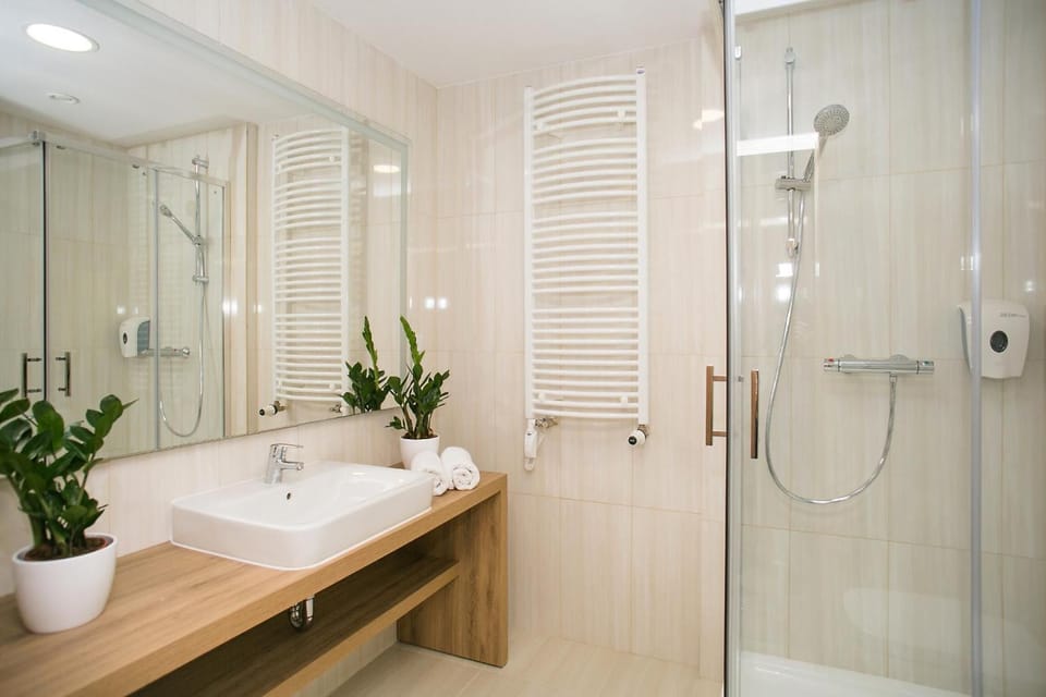 Shower, hair dryer, towels
