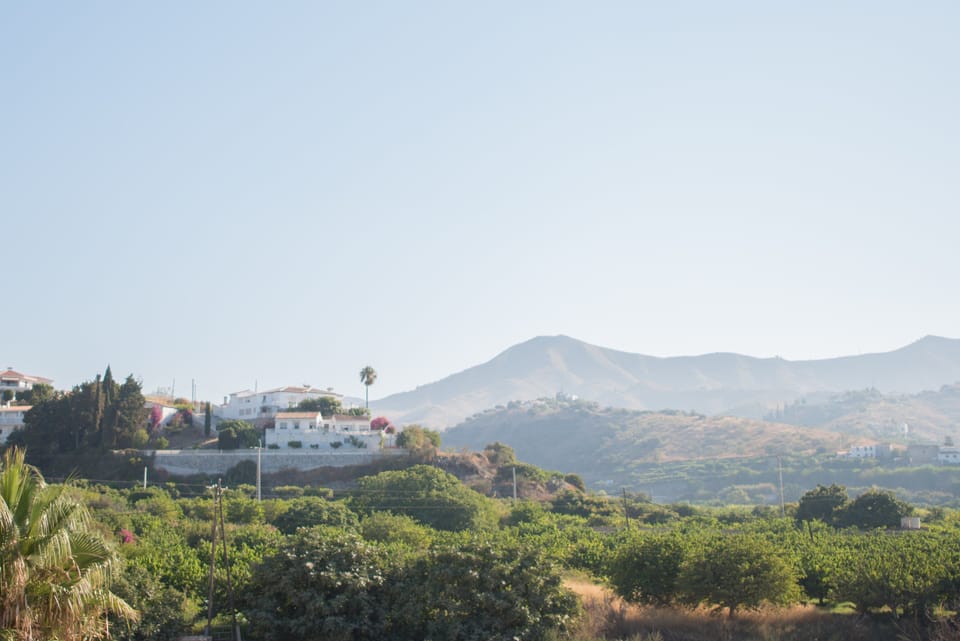 Mountain view