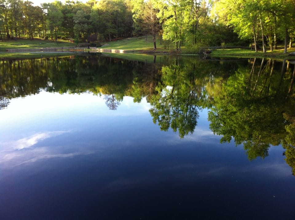 Beautiful Day in East Texas!
