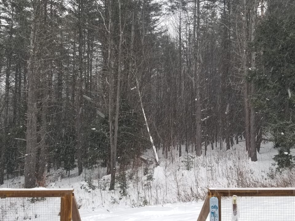 Back yard great for sledding 3000 acres behind us 