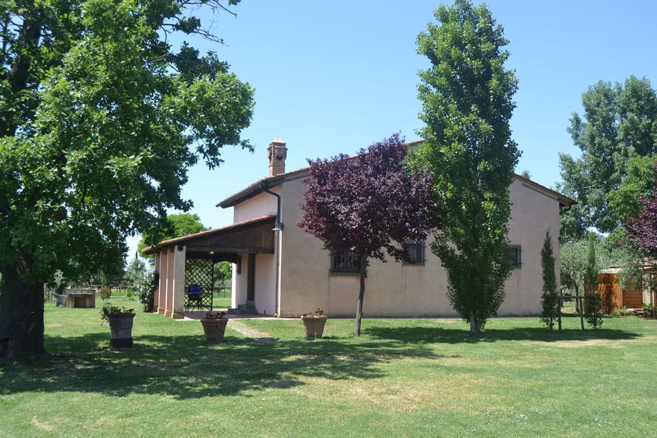 view of the garden