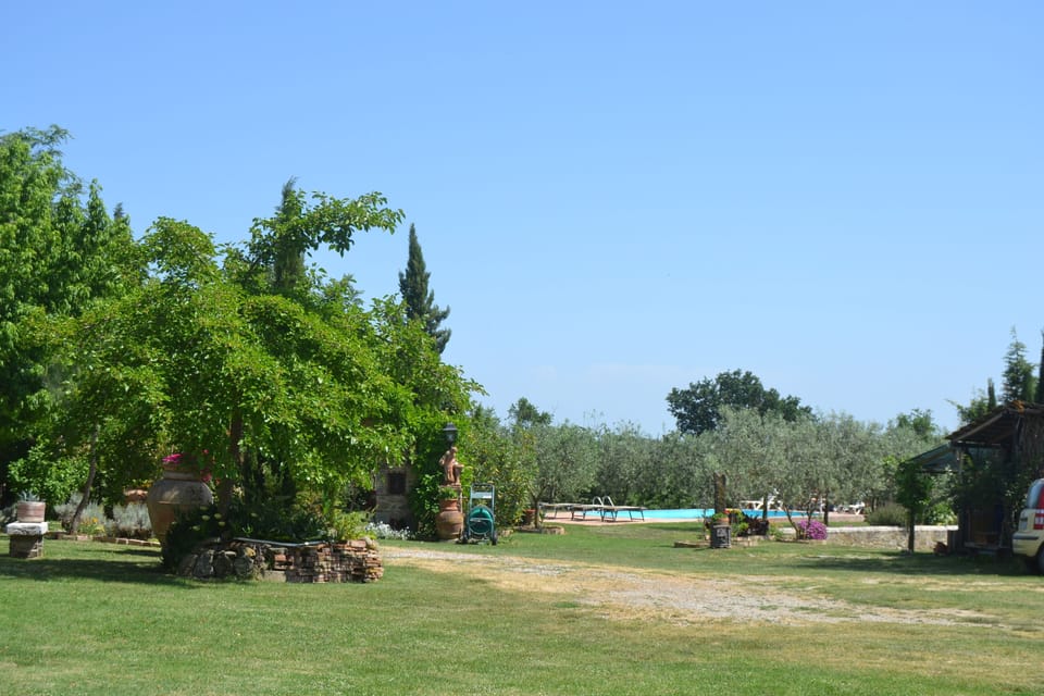 view of the garden