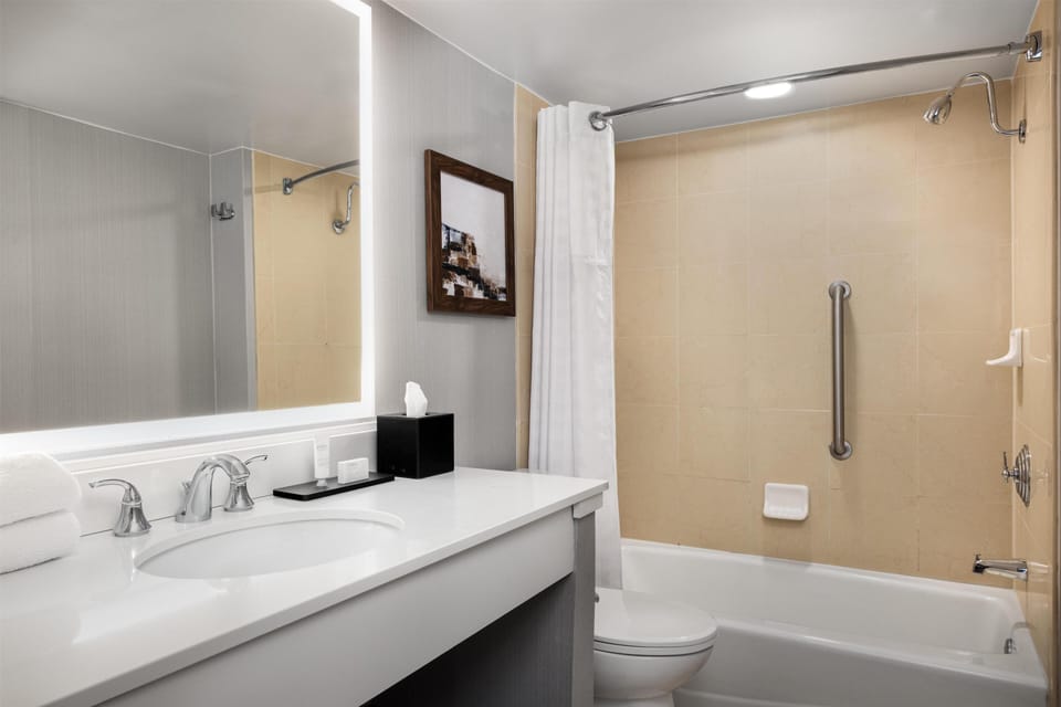 Combined shower/tub, free toiletries, hair dryer, towels