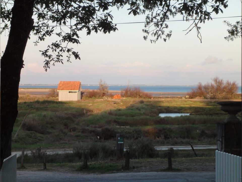 Sea view from living room