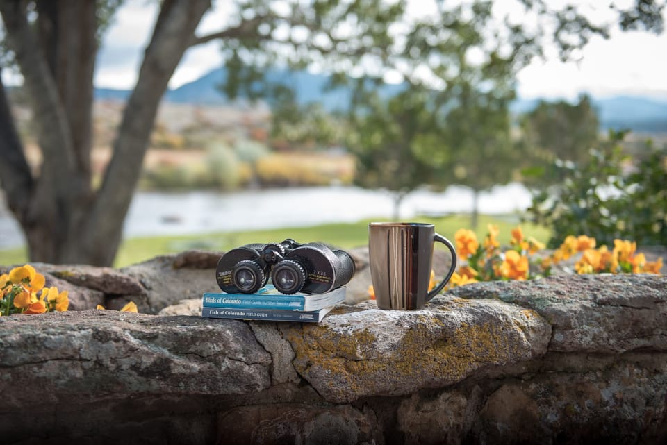 Binoculars located next to the window.