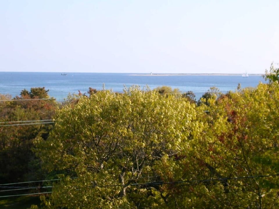 The view