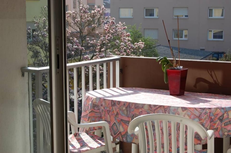 Terrace / Balcony