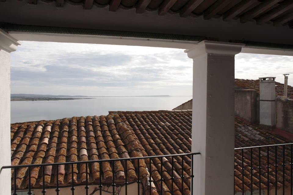 View of the basin