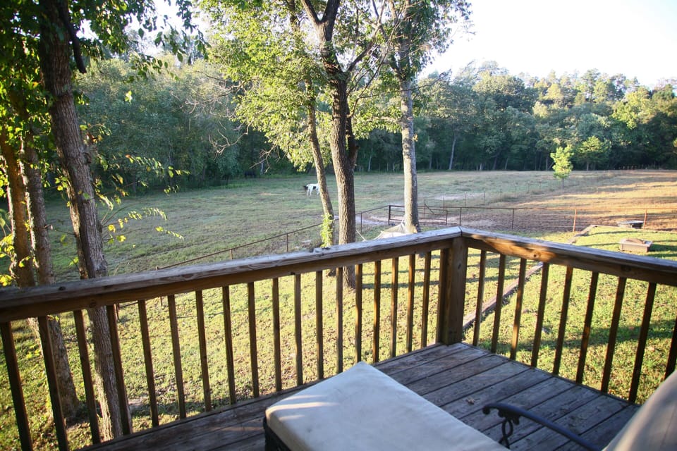 Deck overlooking meadow and river bank